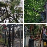 Pune: अवकाळी पावसामुळे वीजपुरवठ्यात व्यत्यय, दुरुस्तीचे काम वेगाने सुरू