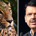 पुणे ः बिबट्यांचे हल्ले ‘राज्य आपत्ती’ घोषित करण्याचा प्रस्ताव; बिबट्यांना शेड्यूल-१ मधून वगळण्याचे निर्देश — मुख्यमंत्री देवेंद्र फडणवीस