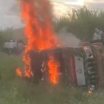 Pune: शिरूरमध्ये बिबट्याला ठार मारण्यासाठी प्रधान मुख्य वनसंरक्षकांकडून आपत्कालीन परवानगी